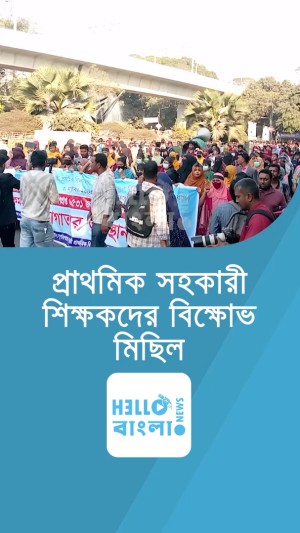 Screenshot 2025-02-12 200022